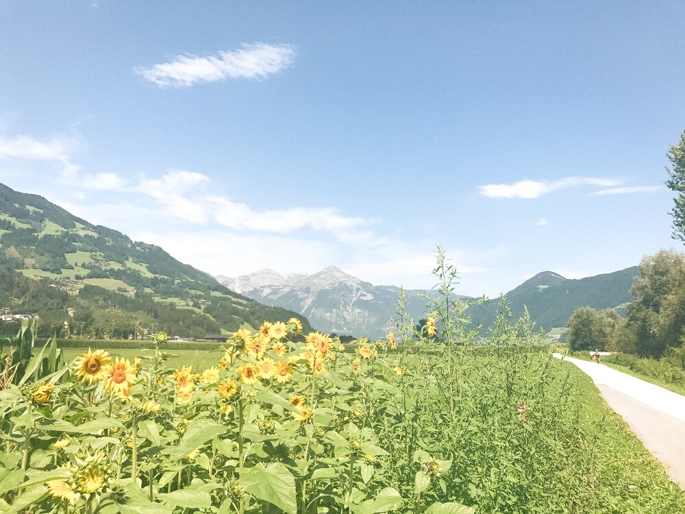 Viel Sonne und tolle Aussichten bietet eine Radtour entlang des Zillertal-Radwegs.