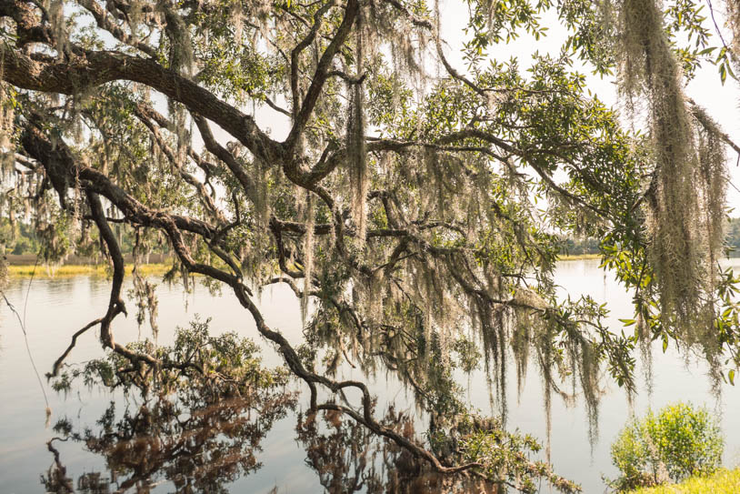 Charleston, South Carolina - Die "Southern Belle" in zwei Tagen