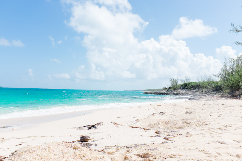 Kreuzfahrt/Sandy Toes, Rose Island: Ein fabelhafter Tag auf den Bahamas