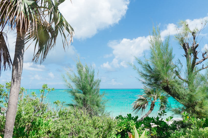 Kreuzfahrt/Sandy Toes, Rose Island: Ein fabelhafter Tag auf den Bahamas