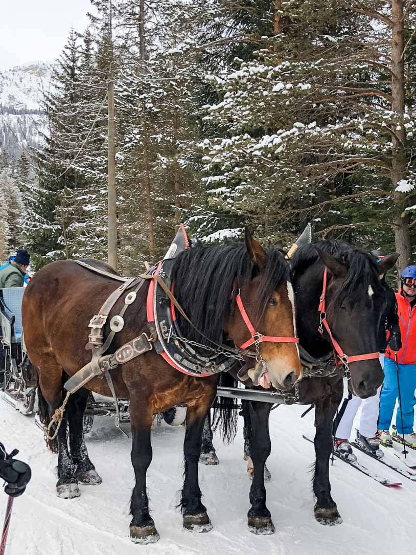 Skiurlaub in Südtirol: Genießen auf und neben den Pisten