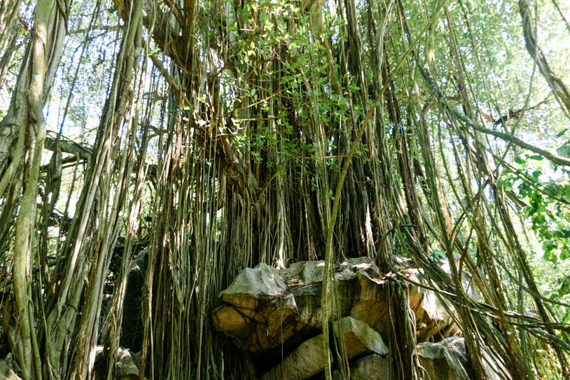 Inselhopping Seychellen