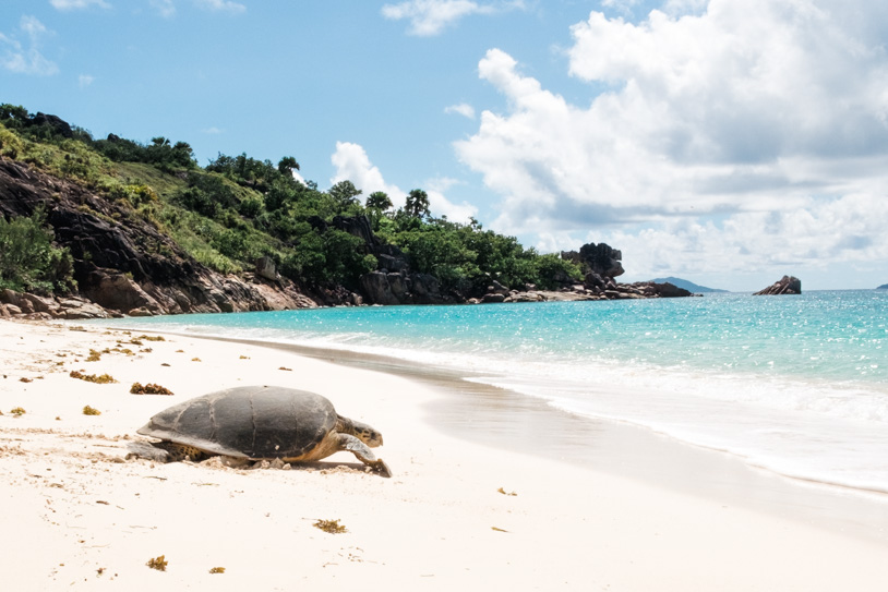 Inselhopping Seychellen