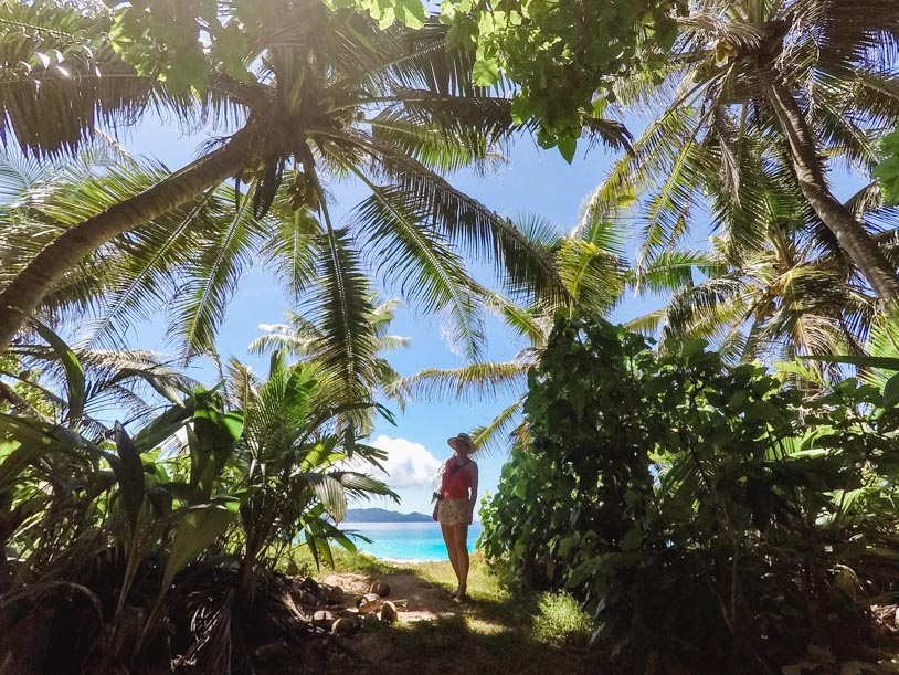 Inselhopping Seychellen